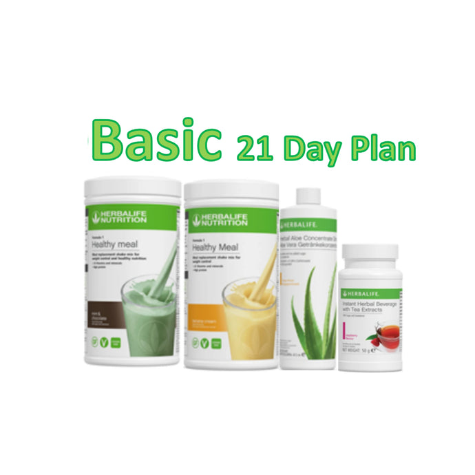 New Basic 21 Day Plan